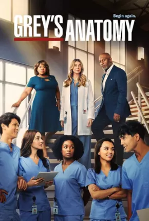 Greys Anatomy - 19ª Temporada Download