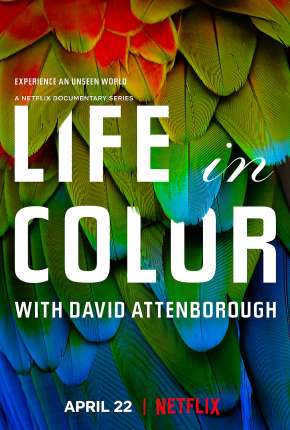 A Vida em Cores com David Attenborough - 1ª Temporada Completa Download